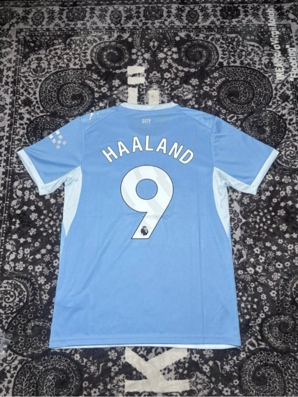 Erling Haaland Blue 2026 2027 Soccer Jersey